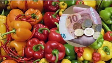 صورة أسعار الخضروات في ألمانيا ترتفع بنحو 11%