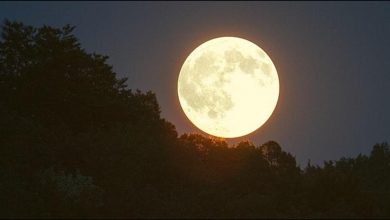 صورة لأول مرة منذ نحو ألف عام.. القمر يصل لأقرب نقطة من الأرض