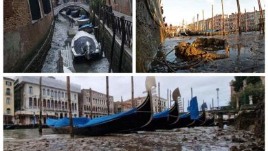 صورة مدينة الحب.. جفاف القنوات المائية يوقف القـوارب في البندقية الإيطالية “صور”