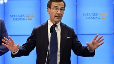 صورة رئيس وزراء السويد: السوسيال لا تخطف أطفال المسلمين ولا غيرهم