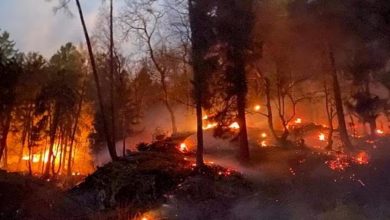 صورة “وسط الشتاء” .. حريق غابة واسع النطاق في شمال إيطاليا