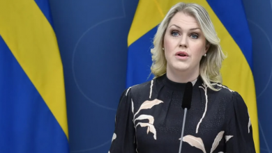 صورة الحكومة السويدية تدرس خيار معاقبة الأهالي حال رفضهم التعاون مع ” السوسيال”