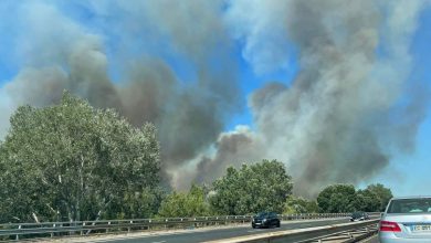 صورة اندلاع حريق غابات ضخم جنوب فرنسا