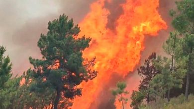 صورة حريق ضخم متعمد غرب إسبانيا.. والسلطات تخلى عدة قرى