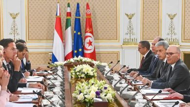 صورة الاتحاد الأوروبي يقترح على تونس مساعدة بأكثر من مليار يورو