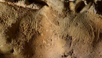 صورة اكتشاف نقوش أثرية بفرنسا تعود إلى 57 ألف عام