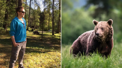 صورة محكمة إيطالية تصدر قرارا بإلغاء إعدام اثنين من الدببة
