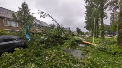صورة هولندا تشهد أقوى عاصفة صيفية منذ نصف قرن