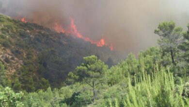 صورة بعد إجلاء الآلاف.. السيطرة على حريق غابات ضخم جنوب فرنسا