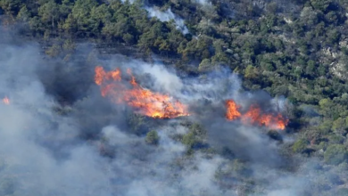 صورة وسط رياح عاتية.. حريق غابات ضخم عند الحدود الفرنسية الإسبانية