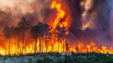 صورة أوروبا تتكبد خسائر بقيمة 4.1 مليار يورو بسبب حرائق الغابات