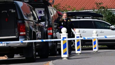 صورة امرأة تقتل طفلا وتصيب اثنين آخرين بجروح خطيرة في السويد