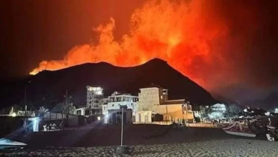 صورة حريق مهول يجتاح غابات الجزائر