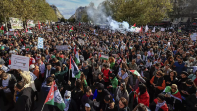 صورة باريس تشهد مظاهرة حاشدة دعما لفلسطين