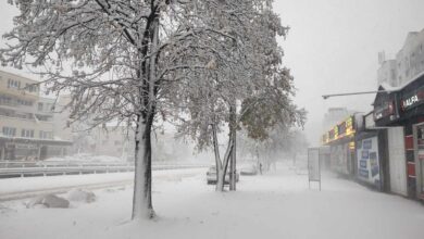 صورة الثلوج تتسبب في انقطاع الكهرباء عن مئات الآلاف في بلغاريا