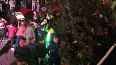 صورة مقتل امرأة بعد سقوط شجرة عيد الميلاد عليها في بلجيكا