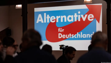 صورة استطلاع: خطط حزب “البديل” حول ترحيل المهاجرين تؤثر سلبيا على صورته لدى الألمان