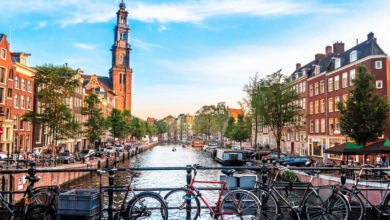 صورة ثقة المستهلكين تتحسن في هولندا خلال الشهر الجاري