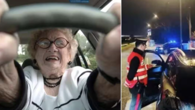 صورة في إيطاليا.. الشرطة تغرم معمرة تبلغ 104 أعوام خلال قيادتها سيارة
