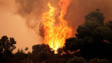 صورة حريق غابات هائل  في كريت اليونانية يخرج عن السيطرة