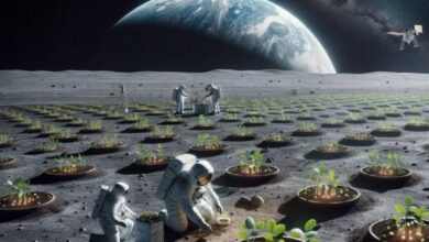 صورة وكالة “ناسا” تعلن عن تجربة لزراعة النباتات على سطح القمر