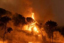 صورة أجّجتها الرياح القوية.. اندلاع عشرات الحرائق في غابات اليونان