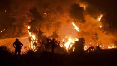 صورة حرائق الغابات تستعر بألبانيا.. والسلطات تطلب مساعدة الاتحاد الأوروبي