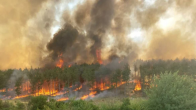 صورة وسط موجة حر شديدة.. بلغاريا تكافح حرائق غابات ضخمة